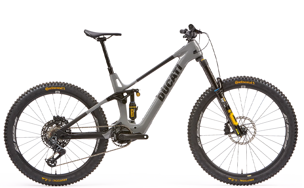 DM-170 RR