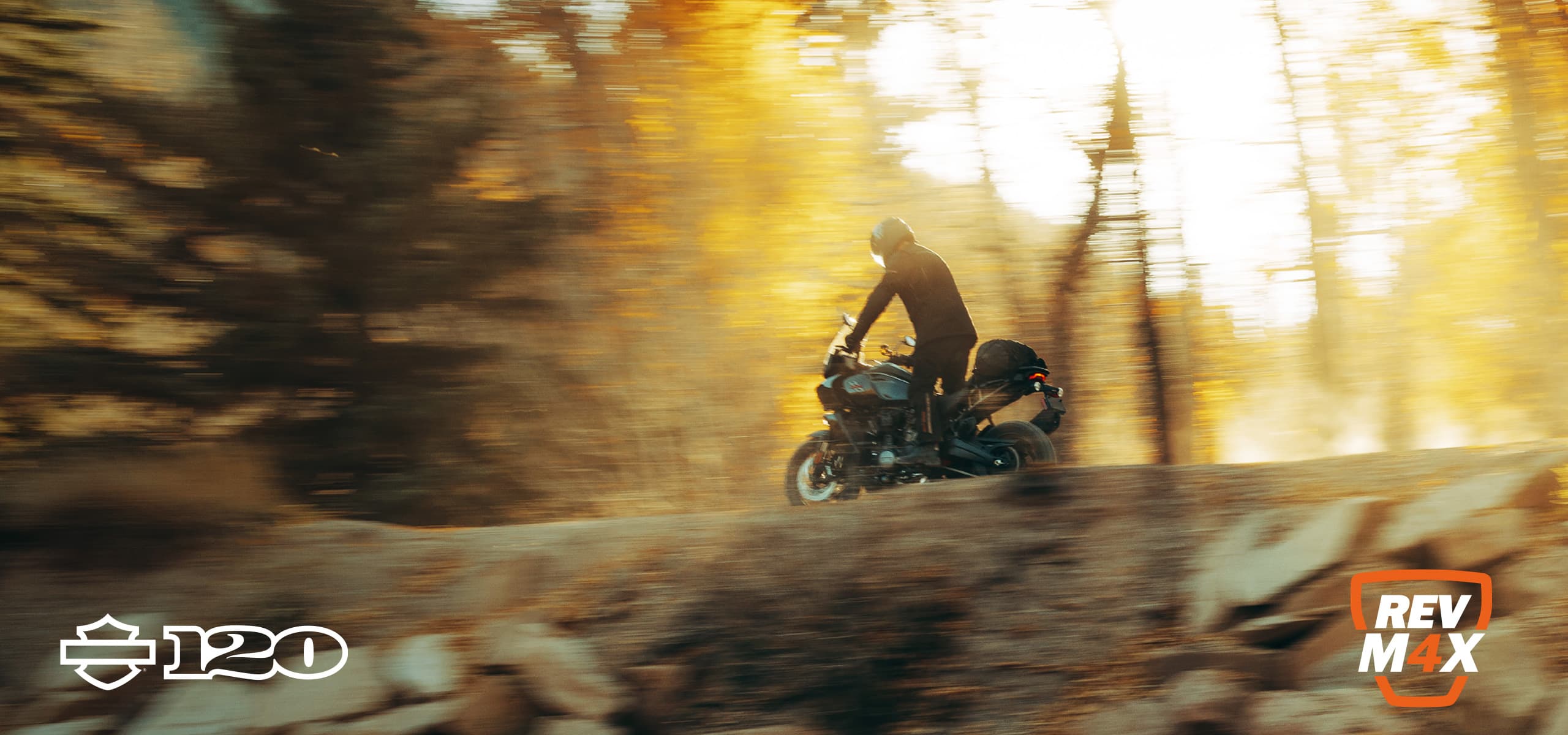 HarleyDavidson Motorcycle Dealers Southampton HarleyDavidson