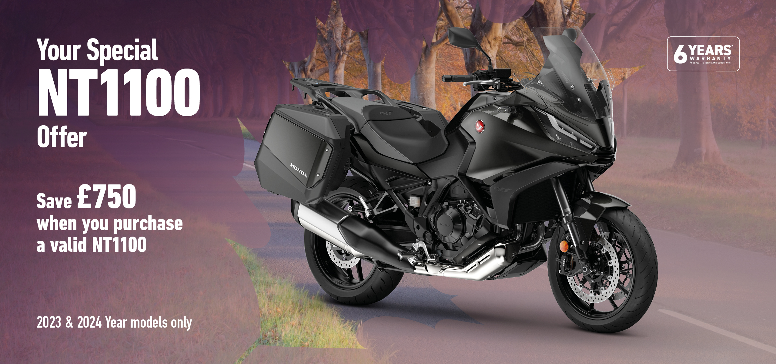 NT1100 Offer