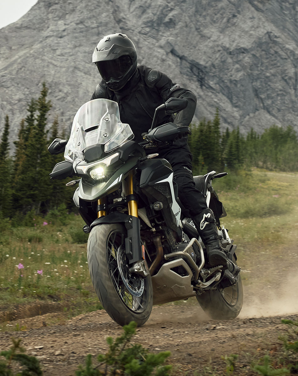 Tiger 1200 Rally Pro