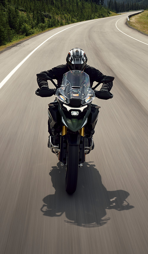 Tiger 1200 Rally Pro
